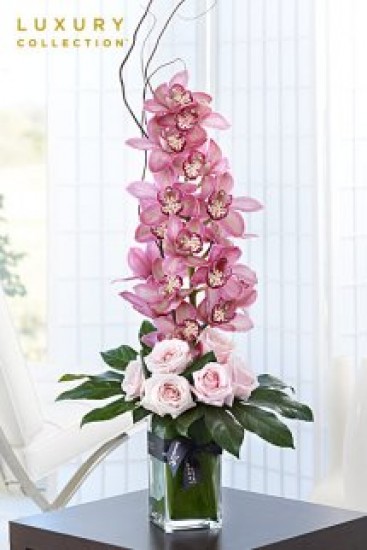 Interflora: Floral Flair and More! Interflora: Floral Flair and More!