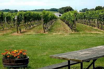 North Fork Wineries North Fork Wineries